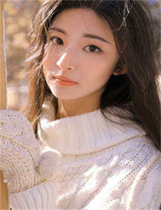 功夫小蝇