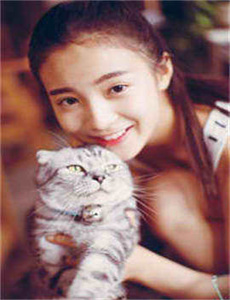 小Q